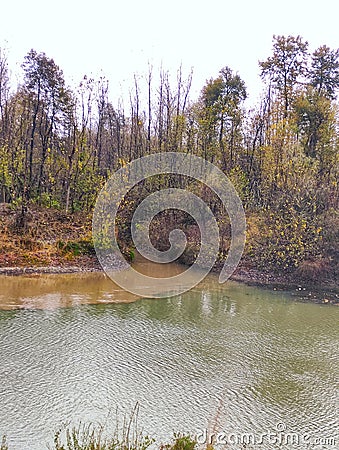 A small muddy stream enters a river. Stock Photo