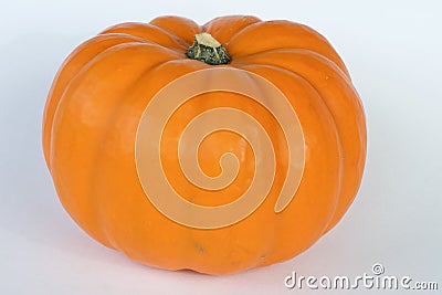 Small neat round orange bio organic tasty pumpkin from Switzerland Stock Photo