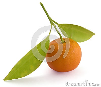 Small Orange Stock Photo