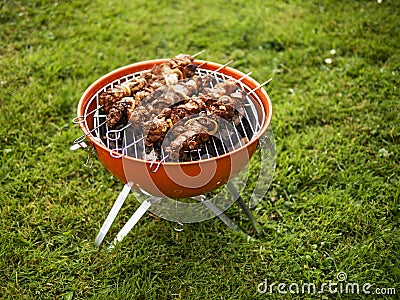 Small orange barbecue on a grass in a park with marinated beef on metal skewers. Selective focus. Concept cooking food outdoors Stock Photo