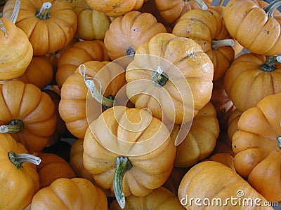 Small, orange, decorative pumpkins in a pile Stock Photo