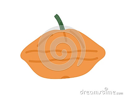 Small orange pattypan squash. Whole patty pan vegetable with stem. Scalloped saucer-shaped veggie. Flat vector Vector Illustration