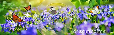 Small paradise with spring flowers and butterflies Stock Photo