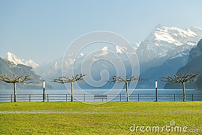 Small park in Brunnen, Switzerland at the shores of Lake Lucerne Stock Photo