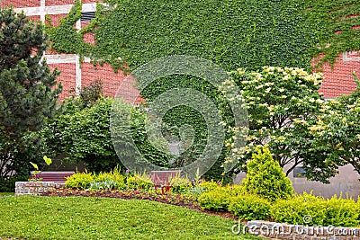 Small park garden with evergreens, bench, flowers and ivy Stock Photo