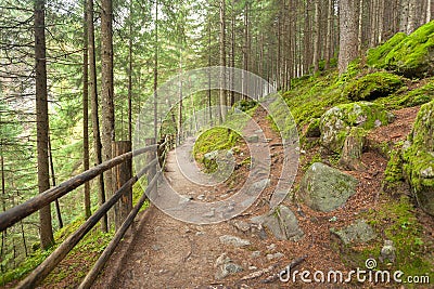 A small path leaves the main path long the woods Stock Photo