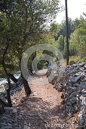 Small path trough forest with drywall and trees. Wilderness. Island Brac, Croatia. Stock Photo
