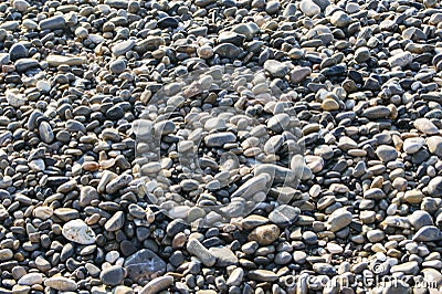 A small pebble shingle. Stock Photo