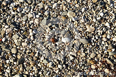 Small pebbles textured Stock Photo