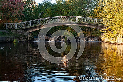 A small pedestrian bridge over the river with ducks Stock Photo