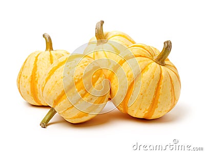 Small perfect shape ribbed pumpkin with orange stripes for Halloween decoration Stock Photo