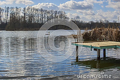 Small pier on the lake, in the background swans Stock Photo