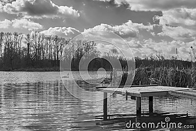 Small pier on the lake, in the background swans Stock Photo