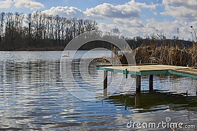 Small pier on the lake, in the background swans Stock Photo