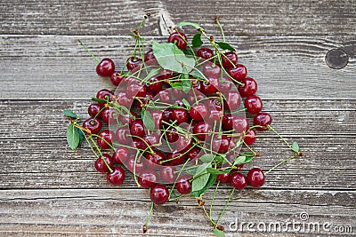 Small pile of harvested fresh and juicy organic red riped sour cherries Stock Photo