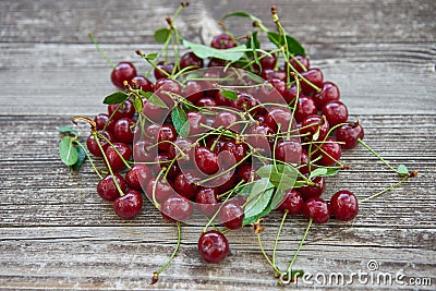 Small pile of harvested fresh and juicy organic red riped sour cherries Stock Photo