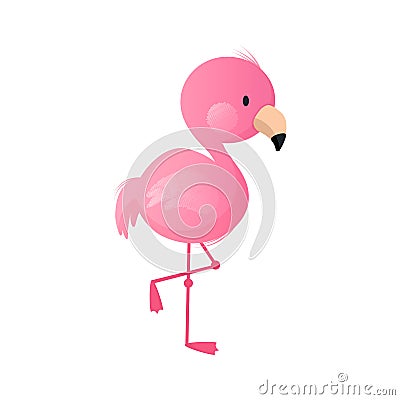 Baby flamingo Vector Illustration