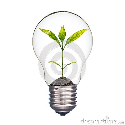 Small plant in a lightbulb Stock Photo