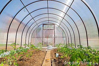 Small polycarbonate greenhouse. Inside view Stock Photo