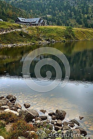 Small Pond Stock Photo