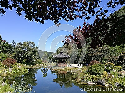 Small pond with relection of pavilion in Korean style garden Stock Photo