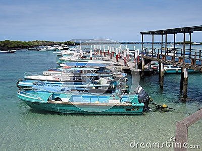 Small port Island Isabela Galapagos Islands Editorial Stock Photo