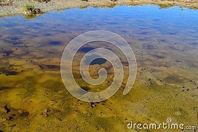 A small puddle. Sivas. Turkey. 2022. Stock Photo