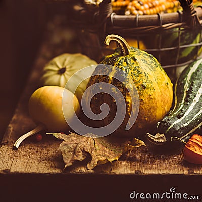 Small pumpkin closeup Stock Photo