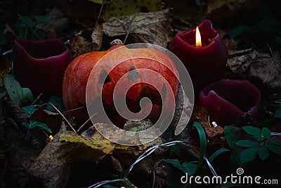 A small pumpkin with a frightening face among candles in leaves Stock Photo