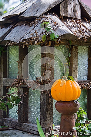Small pumpkin Stock Photo