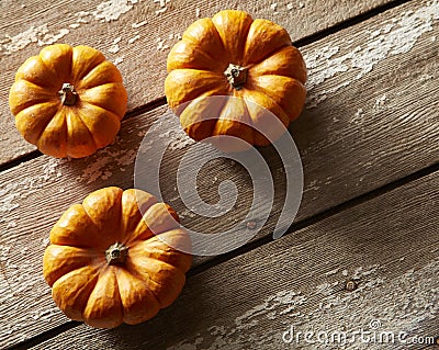 Small pumpkins Stock Photo