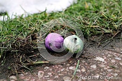 The small purple and green pyrotechnics balls Stock Photo