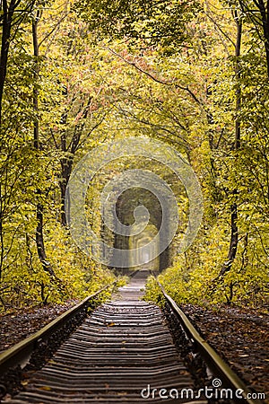 Small railway through autumn forest Stock Photo