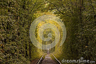 Small railway through autumn forest Stock Photo