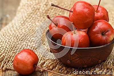 Small red apples. Ranetki Stock Photo