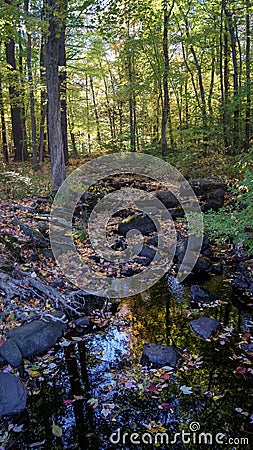 Small river crossing trough the forest during the beginning of the autumn fall season in Massachusetts, New England Stock Photo