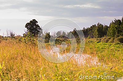 A small river in the forest. Evening by the river. Stock Photo