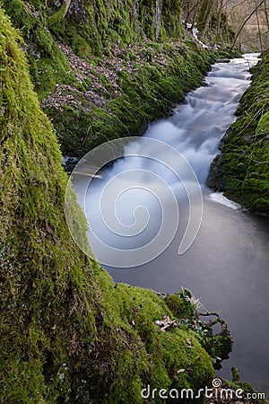 Small river in a german forest Stock Photo