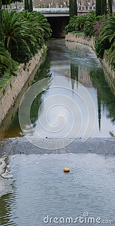 a small river polluted with debris, flanked by palm trees. Stock Photo