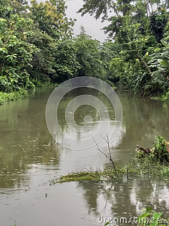 A small river in a village in India. Stock Photo
