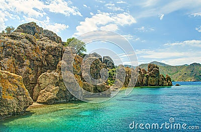 Small rocky island covered with plants on sunny day Stock Photo