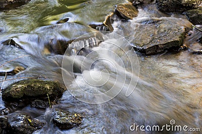 a small roll near the waterfall, nature Stock Photo