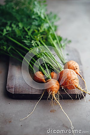 Small Round Carrots Stock Photo