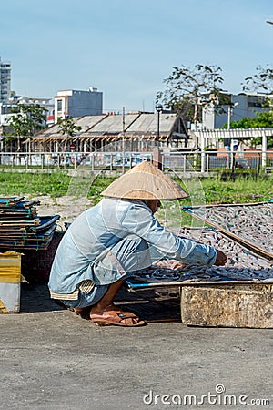 Small salted fish dried under the sunlight Danang, Vietnam 2016 Editorial Stock Photo