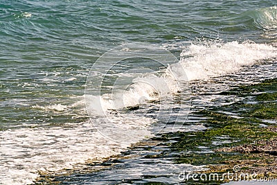 A small sea wave runs ashore Stock Photo