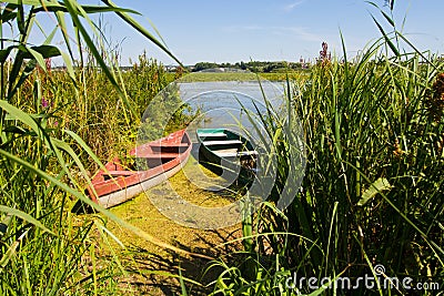 Small shabby and worn wooden fishing boats at a lake bank in backwater, swamp rich green vegetation Stock Photo