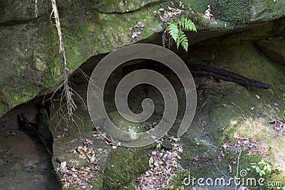 Shallow cave in the forest Stock Photo