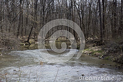 Stream flowing through the forest in early spring Stock Photo