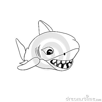 small shark with big teeth Stock Photo