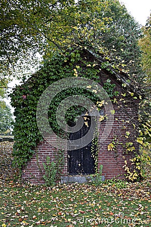 Small shed covered with ivy with colorful leaves on the ground. Stock Photo